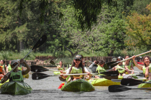 Kayak en Tigre + trekking en la isla
